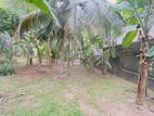 COMMERCIAL LAND FOR RENT IN KELANIYA (SP888)