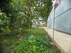 Commercial Land for Rent in Mulleriyawa – DIL057C