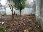 Commercial Land for Rent in Wattala (sp1316)