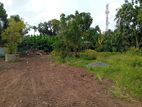 Commercial Land for Rent – Ja-Ela, Weligampitiya