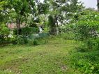 Commercial Land for Rent Katunayake