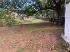 Commercial Land for Rent – Kotugoda | Facing Negombo–Gampaha Main Road