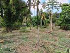 Commercial Land for Rent Nawala