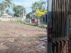 Commercial Land for rent or Lease in Kandana