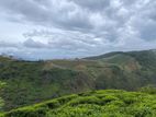 Commercial Land for Sale at Kandapola, Nuwara Eliya