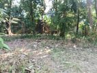 Commercial Land for sale Boralasgamuwa