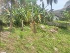 Commercial Land for sale Boralasgamuwa