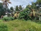 Commercial Land for Sale Boralasgamuwa Town
