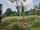 Commercial Land for Sale Boralasgamuwa Town