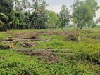 Commercial Land for Sale Close to Colombo - Kurunegala Main Road