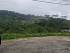 Commercial Land For Sale