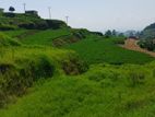 Commercial Land for sale in Abewela