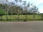 Commercial Land For Sale In Bandaragama Millaniya