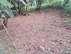 Commercial Land for Sale in Battaramulla (SP768)