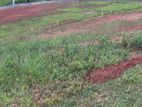 Commercial Land For Sale In Beragala
