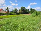 COMMERCIAL LAND FOR SALE IN BIYAGAMA