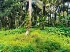 Commercial Land for Sale in Boralesgamuwa