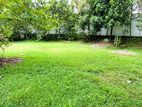 Commercial Land For Sale in Colombo 15