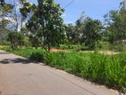 Commercial Land for Sale in Dambulla (facing A-9 Road)