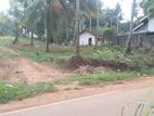 COMMERCIAL LAND FOR SALE IN DANKOTUWA (SP855)