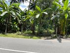 Commercial Land for sale in Daulagala - Kandy