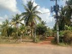 Commercial Land for Sale in Dummalasooriya