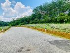 Commercial Land for Sale in Eheliygoda