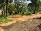 Commercial Land for Sale in Gadagama, Watareka (C7-9972)