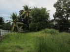 Commercial Land For Sale in Galle Road Dehiwala