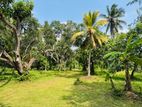 Commercial Land for Sale in Gampaha