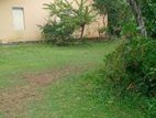 Commercial Land for Sale in Hikkaduwa