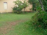 Commercial Land for Sale in Hikkaduwa