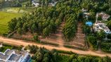 Commercial Land for Sale in Hokandara