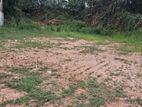 Commercial Land for Sale in Homagama Berukatiya Junction