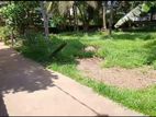 Commercial Land for Sale in Homagama (SP854)