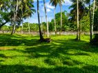 Commercial Land For Sale in Horana