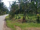 Commercial Land For Sale in Horana