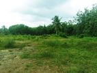 Commercial Land for Sale in Horana