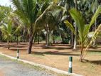 Commercial Land for Sale in Horana with 11.55p block