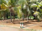 Commercial Land for Sale in Horana with 11.55p block