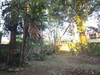 COMMERCIAL LAND FOR SALE IN KALUBOWILA (SP1202A)