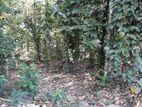 COMMERCIAL land for sale in Kandy DIGANA