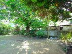 Commercial Land for sale in Katubedda
