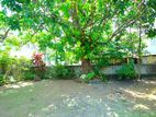 Commercial Land for sale in Katubedda