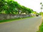 Commercial Land for sale in Katubedda