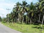 Commercial Land for Sale in Kohuwala