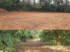 Commercial Land for Sale in Kosgama - Eswatta