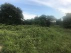 COMMERCIAL LAND FOR SALE IN KOTUGODA - CL627