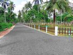 Commercial Land for Sale in Mellawagedara H02
