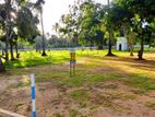 Commercial Land for Sale in Mellawagedara p7